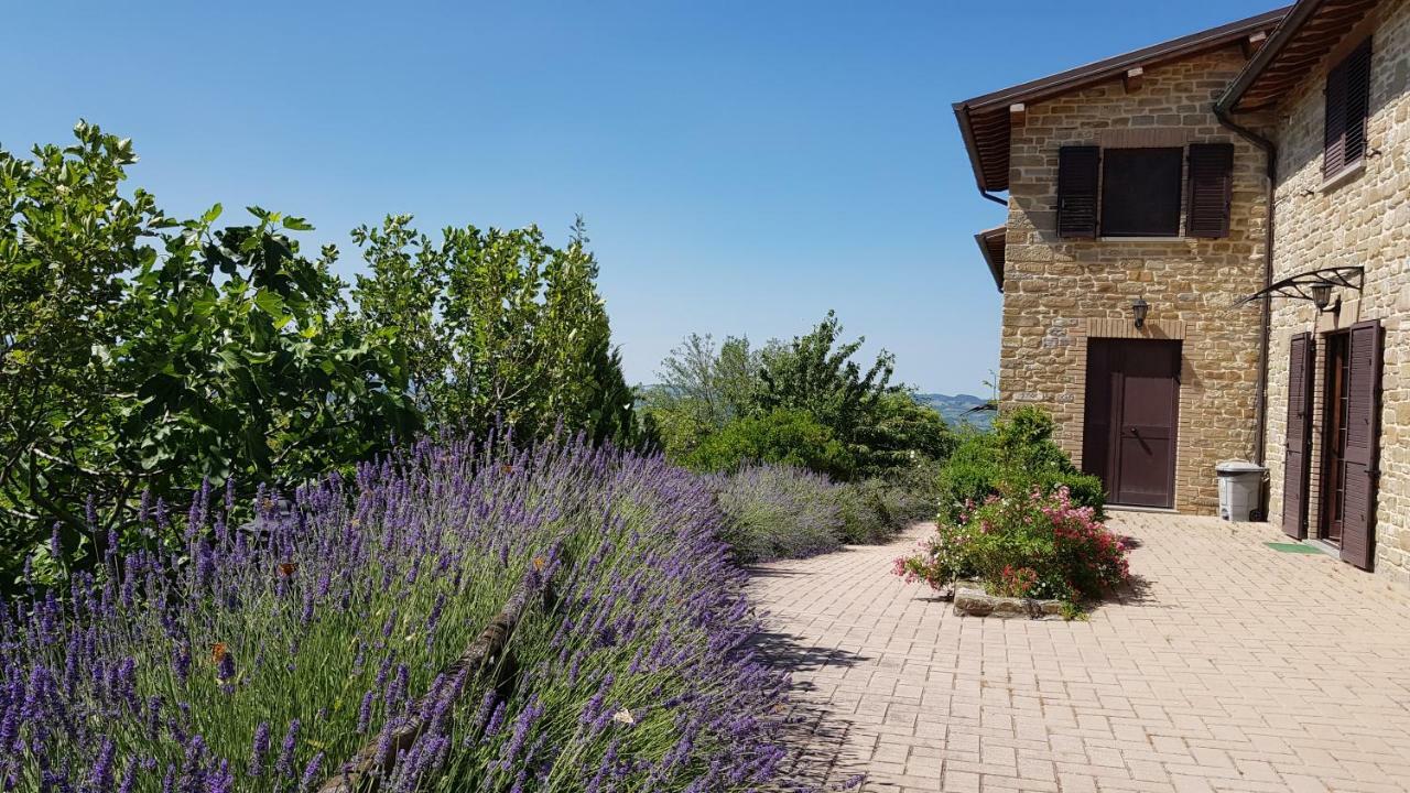 Cannabis Clinic & Restaurant Gubbio Exterior foto